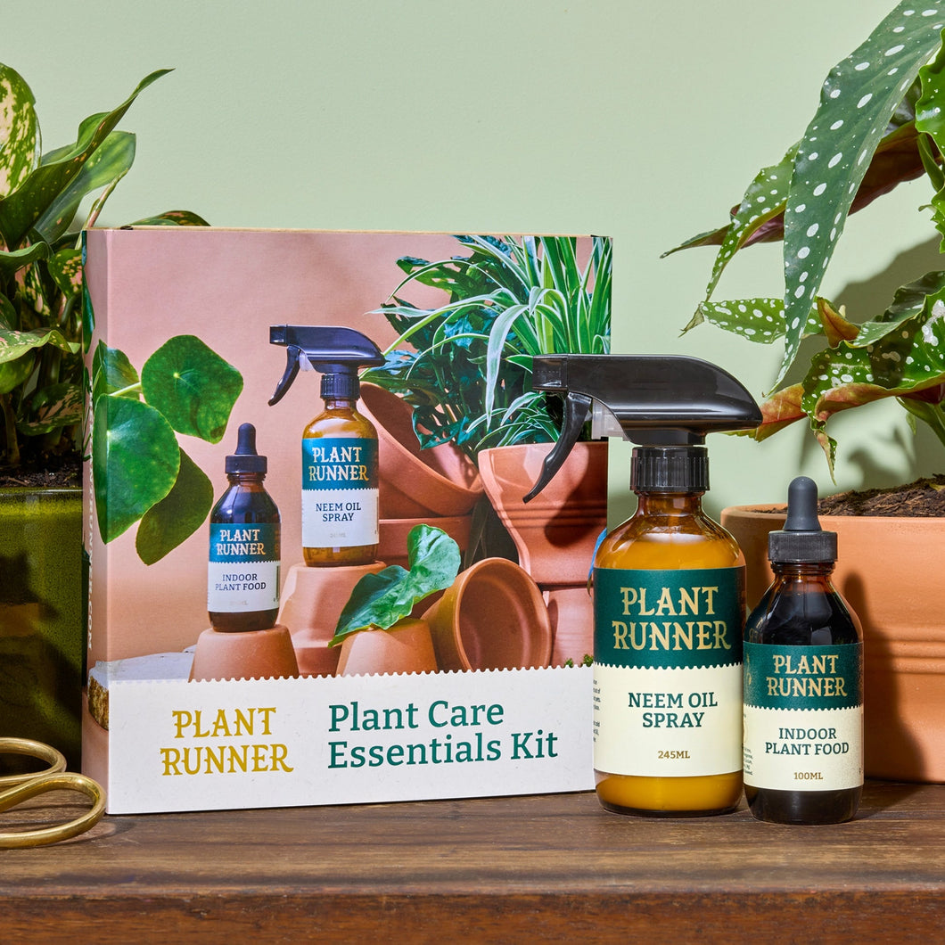Plant Care Essentials Kit
